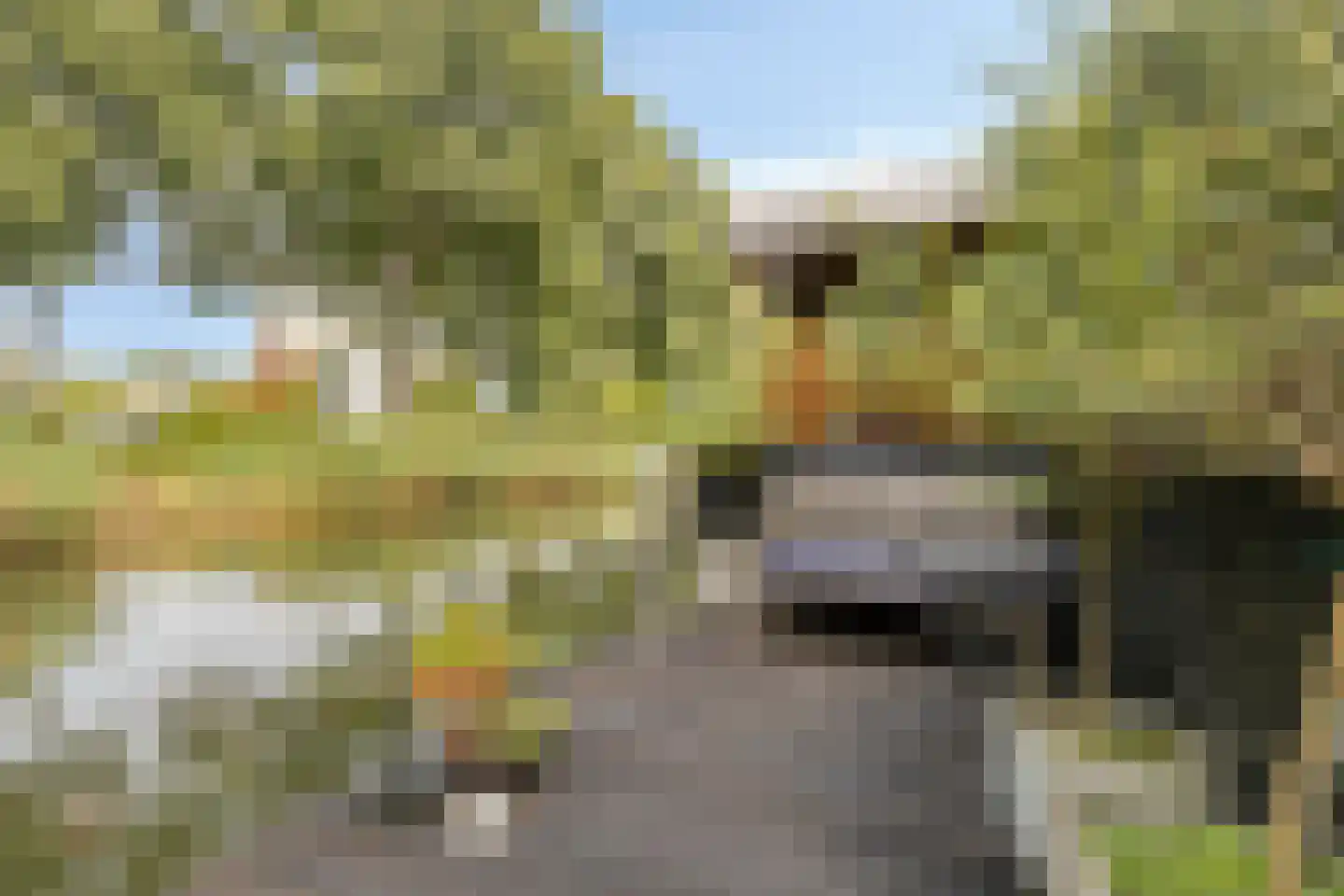 Wengéhout 46 Zoetermeer thumbnail 32