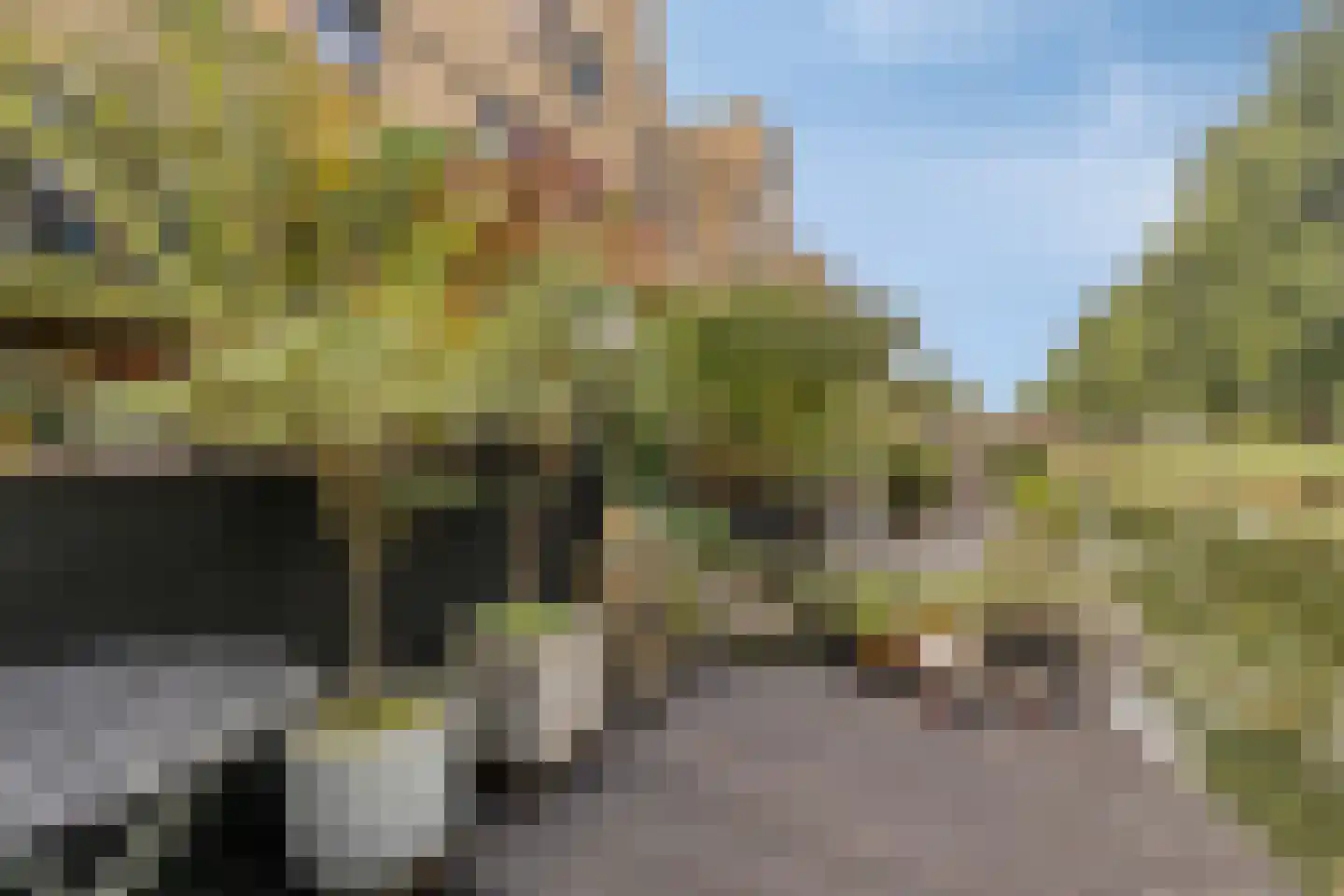 Wengéhout 46 Zoetermeer thumbnail 33