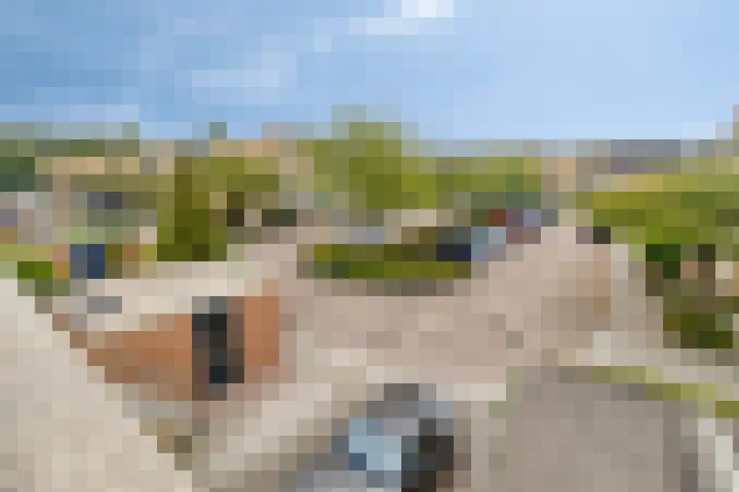 Wengéhout 46 Zoetermeer thumbnail 42