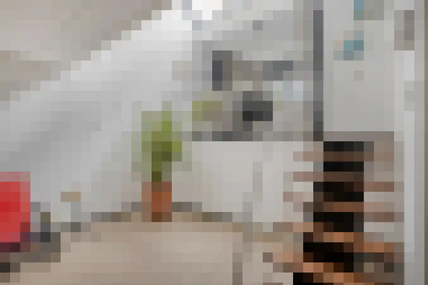 Wengéhout 46 Zoetermeer thumbnail 7