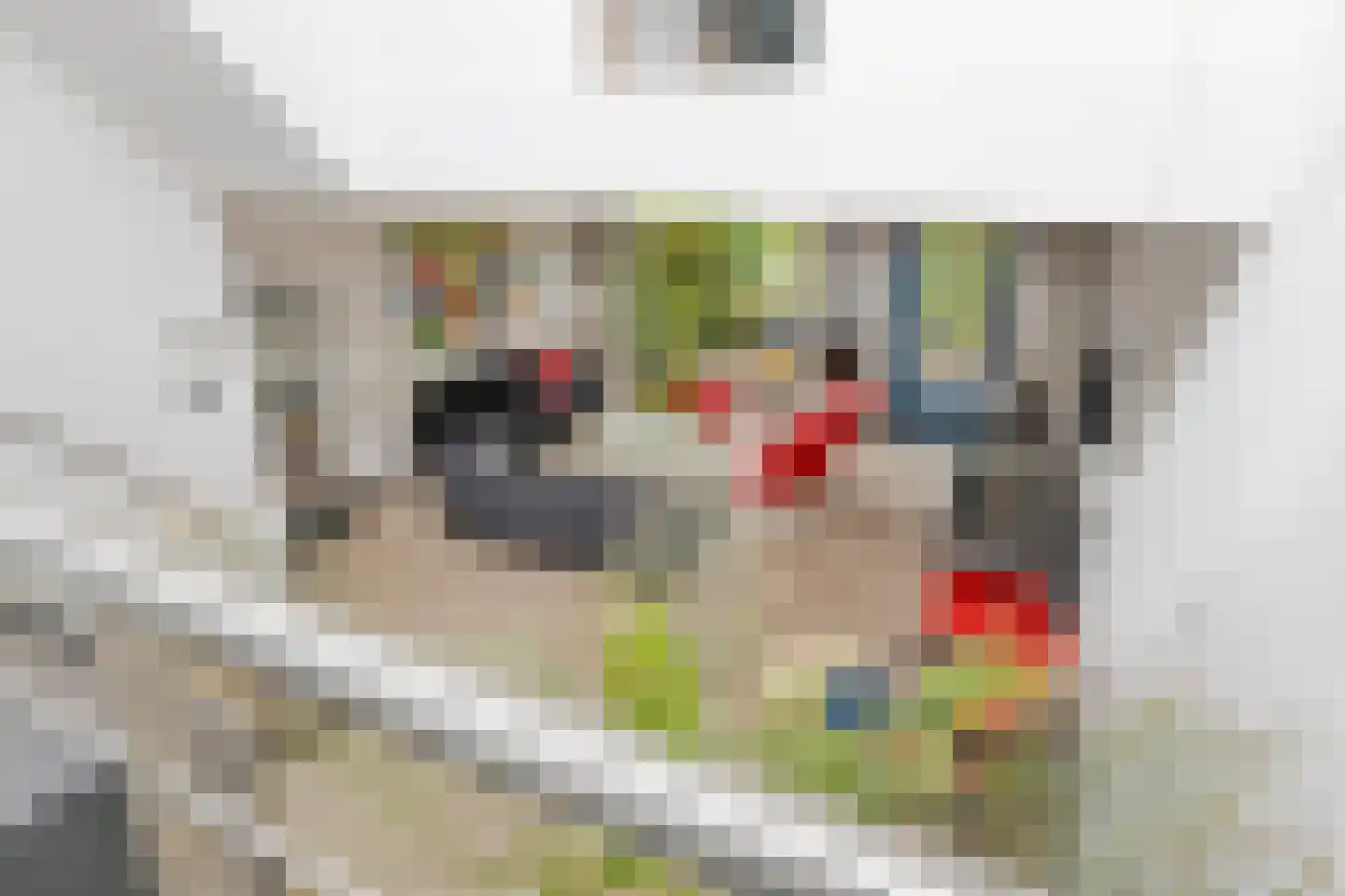 Wengéhout 46 Zoetermeer thumbnail 9