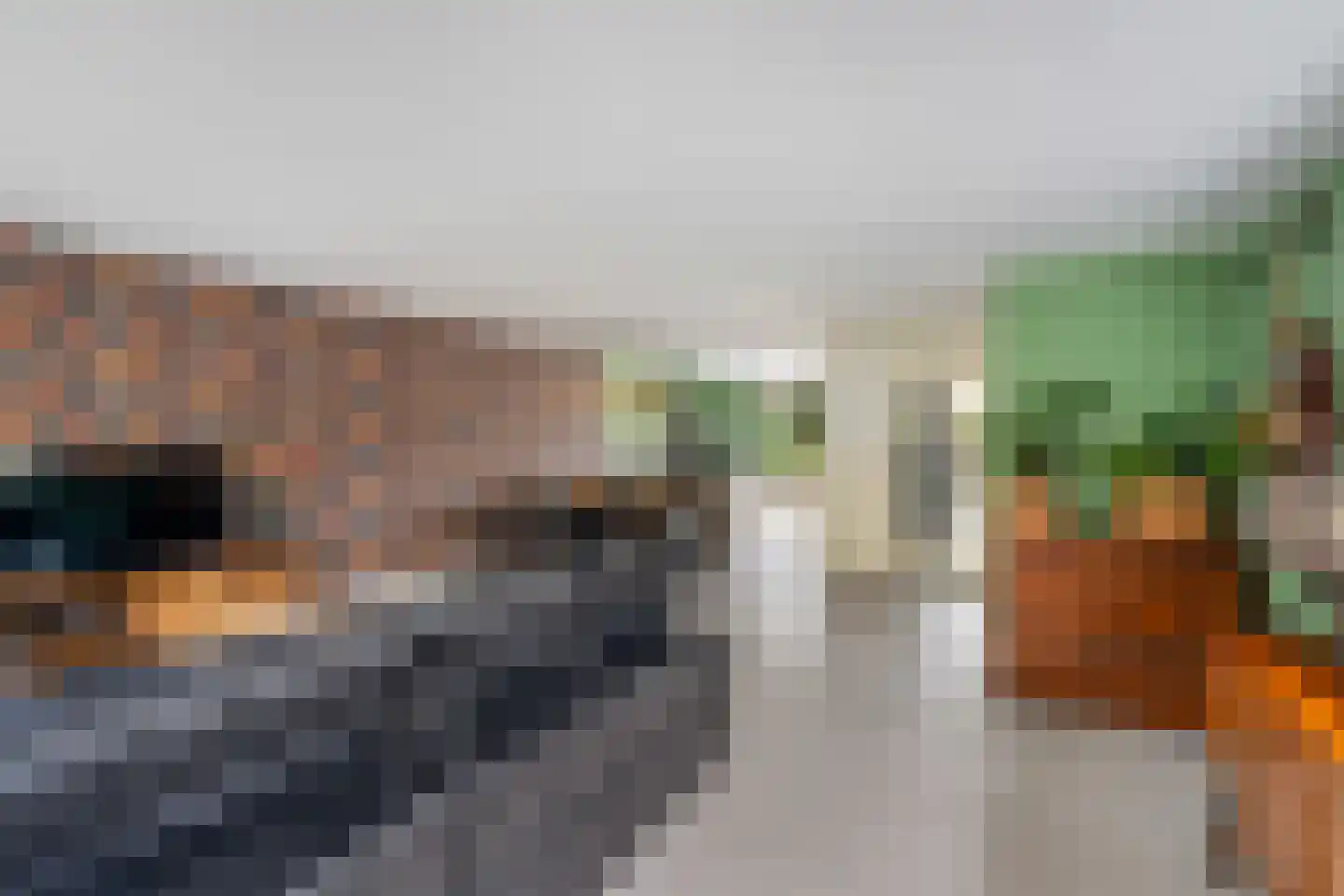 Wengéhout 84 Zoetermeer thumbnail 11