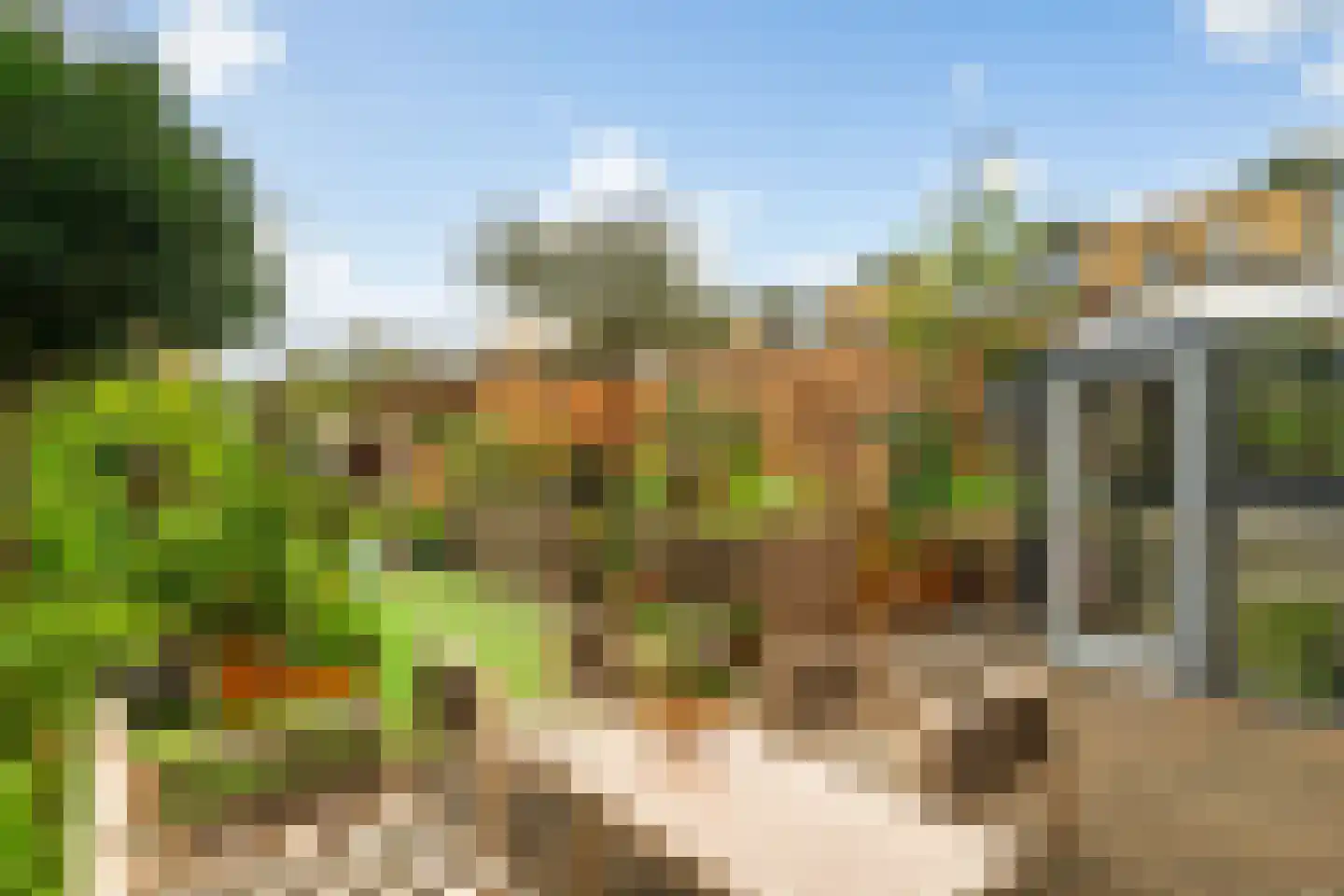 Wengéhout 84 Zoetermeer thumbnail 18