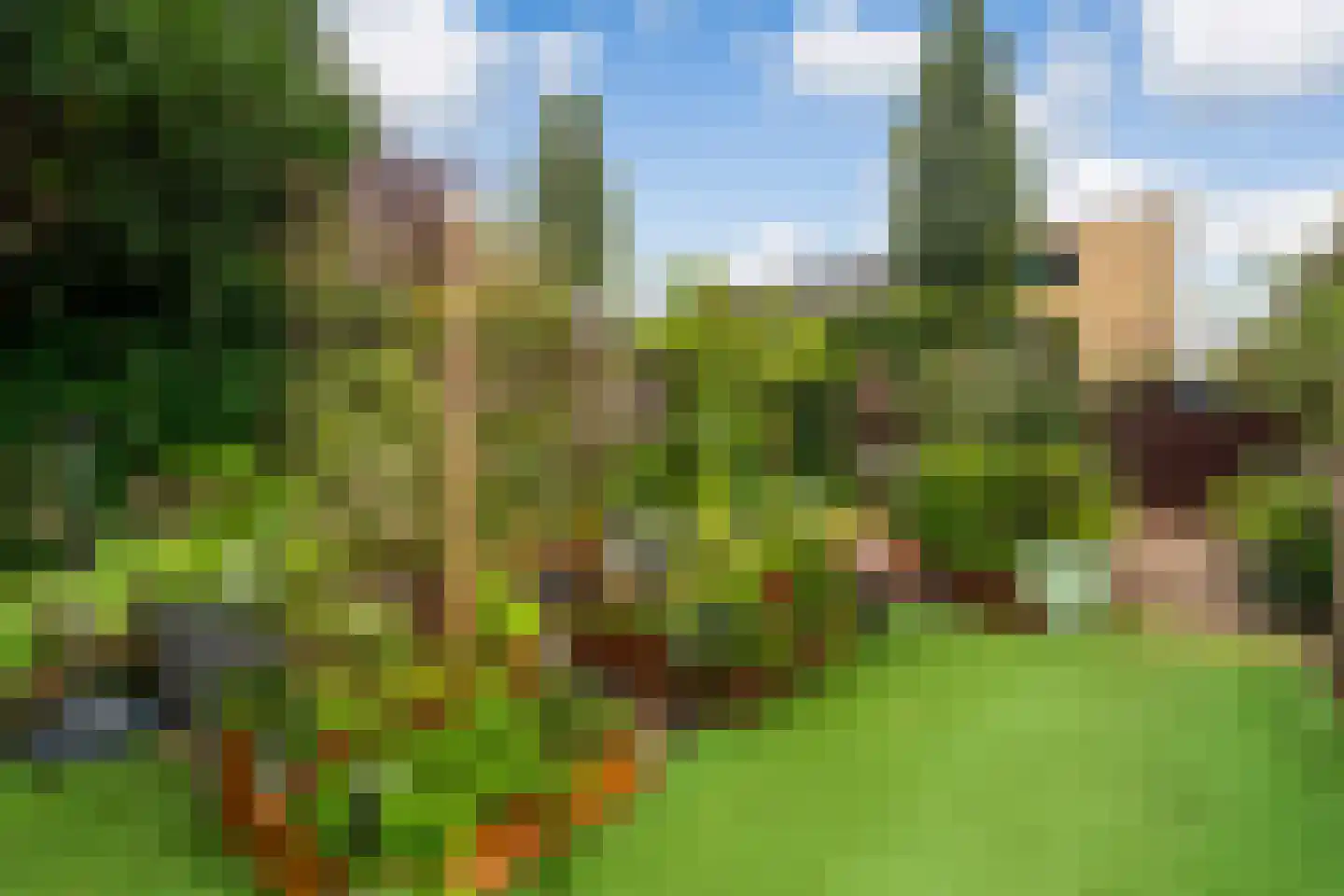 Wengéhout 84 Zoetermeer thumbnail 19