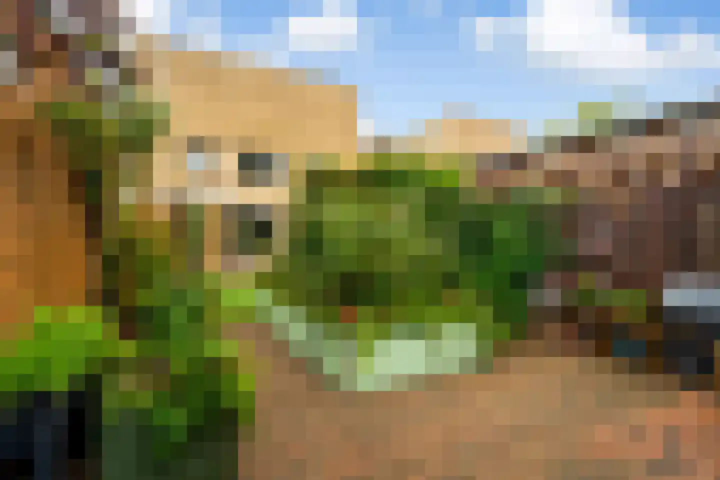 Wengéhout 84 Zoetermeer thumbnail 20