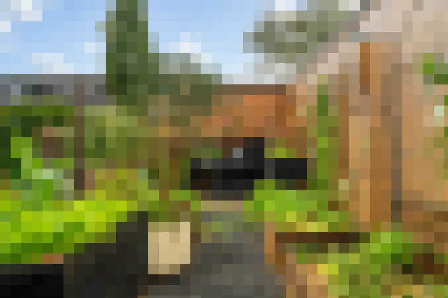 Wengéhout 84 Zoetermeer thumbnail 23
