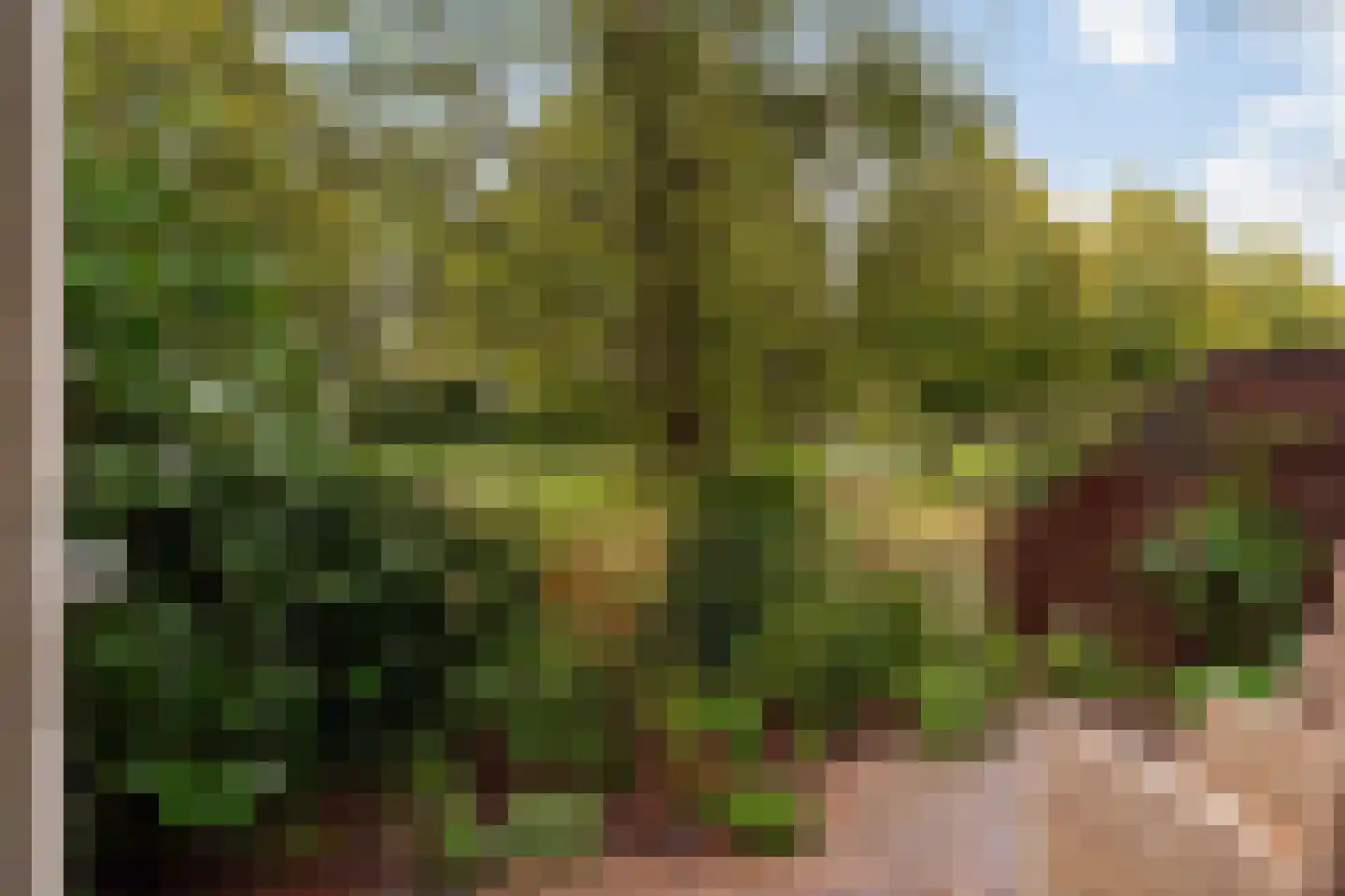 Wengéhout 84 Zoetermeer thumbnail 29