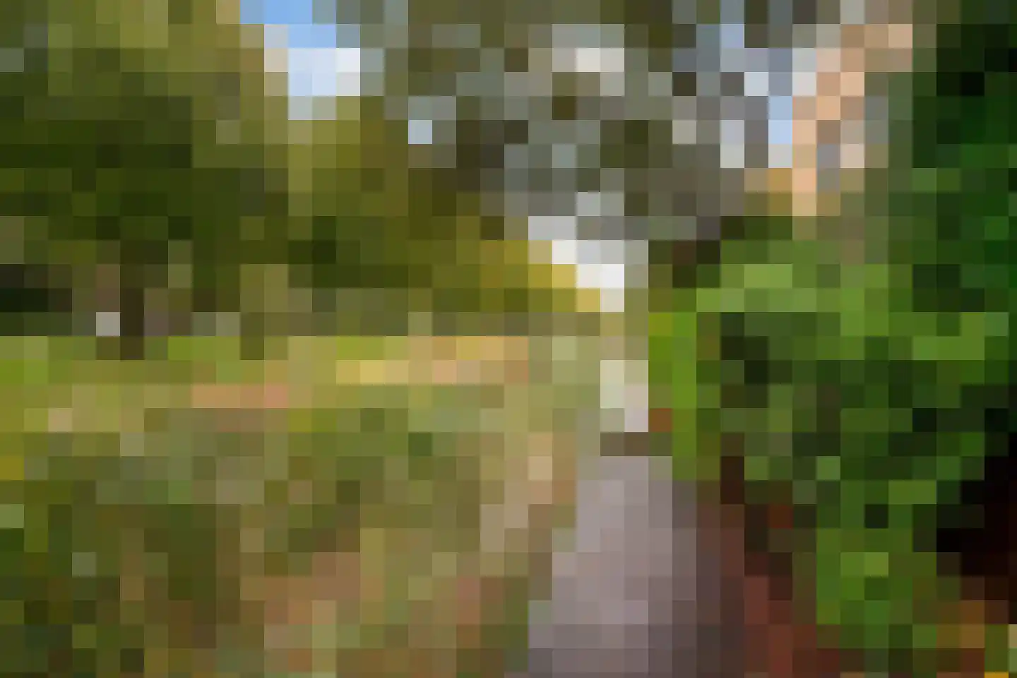 Wengéhout 84 Zoetermeer thumbnail 30