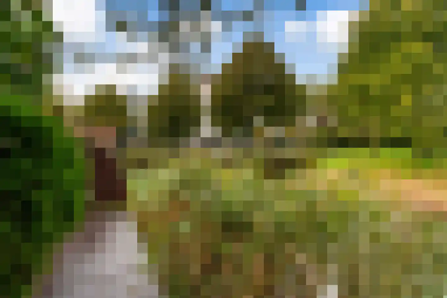 Wengéhout 84 Zoetermeer thumbnail 31