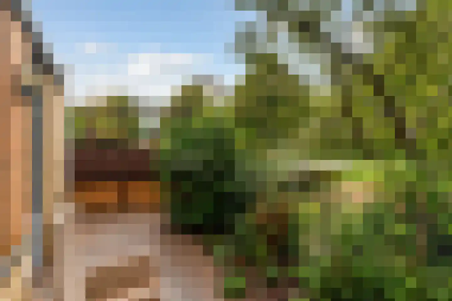 Wengéhout 84 Zoetermeer thumbnail 32