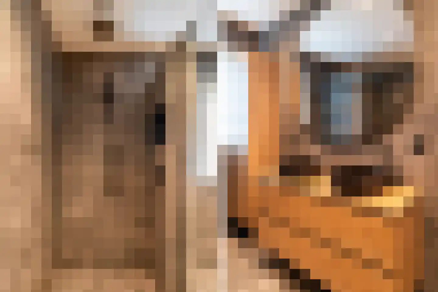 Wengéhout 84 Zoetermeer thumbnail 45