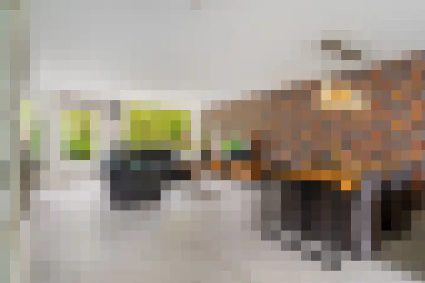 Wengéhout 84 Zoetermeer thumbnail 9