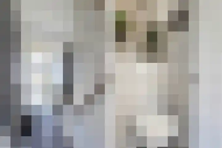 Wenmaekersstraat 17 Emmeloord thumbnail 5