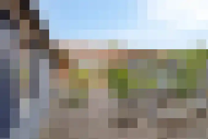 Wenmaekersstraat 27 Emmeloord thumbnail 29