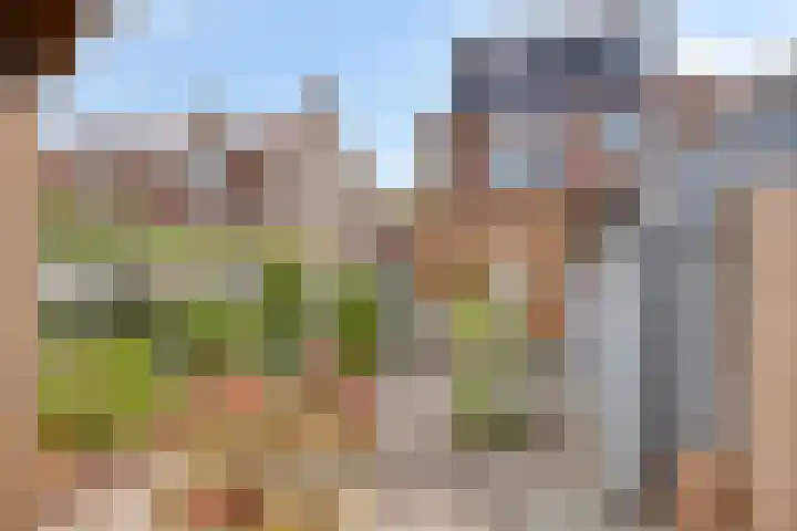 Wenmaekersstraat 27 Emmeloord thumbnail 31