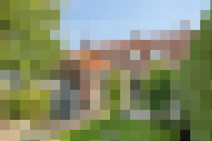 Wenmaekersstraat 41 Emmeloord thumbnail 34