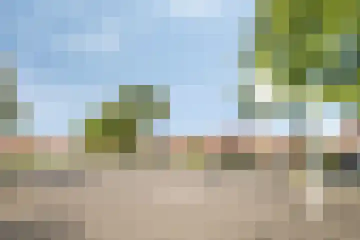 Wenmaekersstraat 41 Emmeloord thumbnail 39