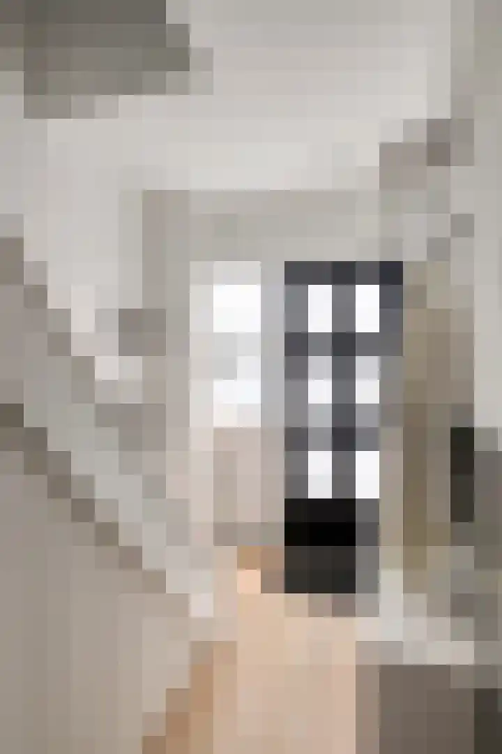 Wenmaekersstraat 41 Emmeloord thumbnail 6