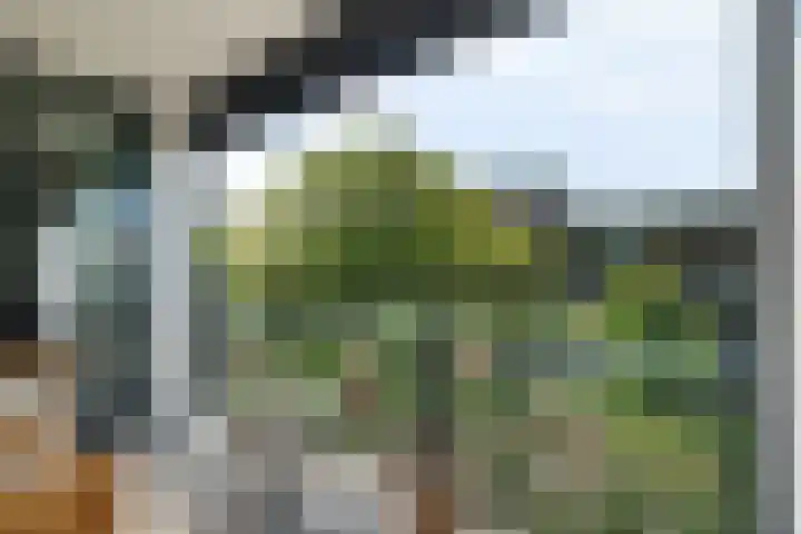 Wenning 30 Emmen thumbnail 23