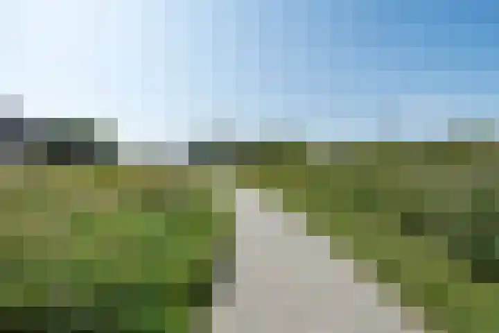 Wenning 30 Emmen thumbnail 28