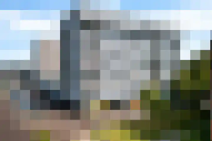 Wenning 30 Emmen thumbnail 41