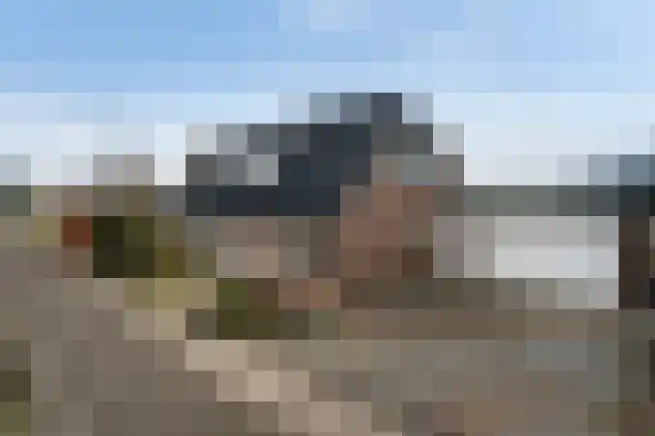 Wenpad 8 Poeldijk