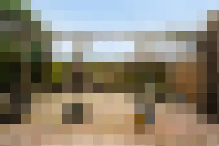Wenpad 8 Poeldijk thumbnail 15