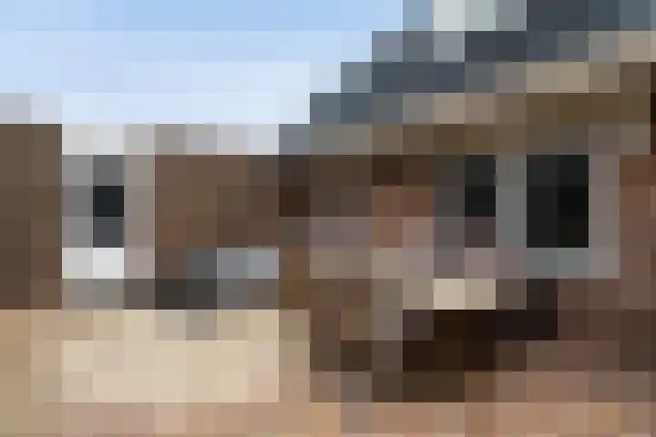 Wenpad 8 Poeldijk thumbnail 17