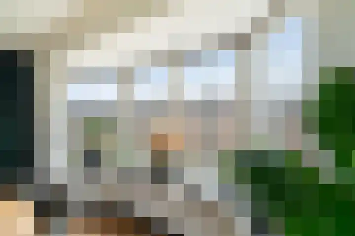 Wenpad 8 Poeldijk thumbnail 22