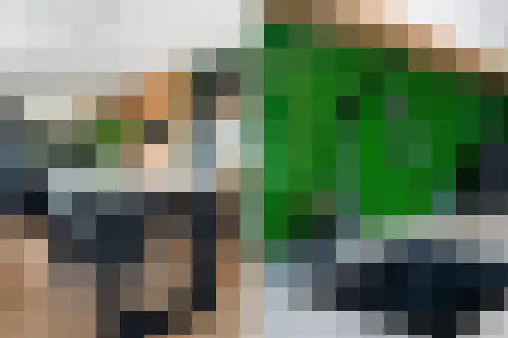 Wenpad 8 Poeldijk thumbnail 23