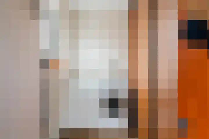 Wenpad 8 Poeldijk thumbnail 30