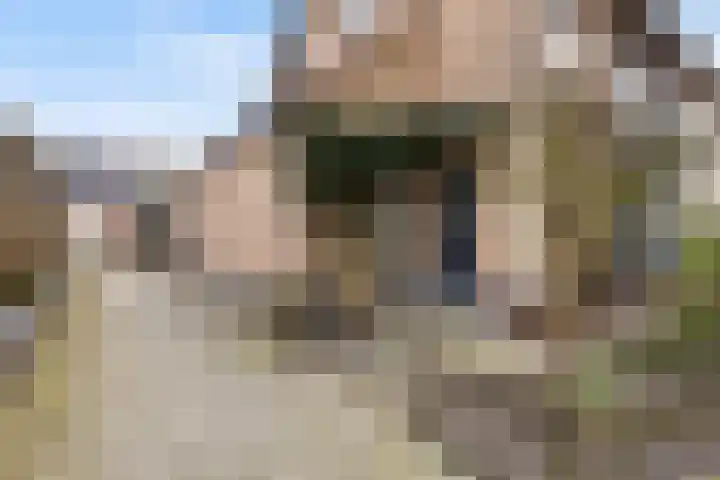 Wenpad 8 Poeldijk thumbnail 52