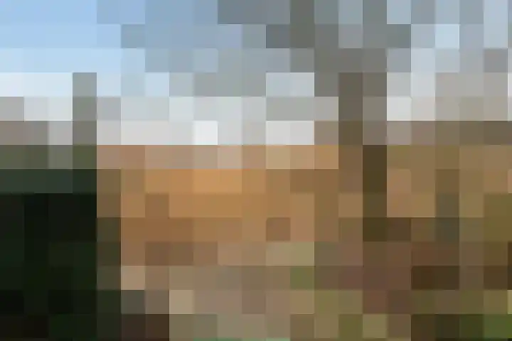 Wenpad 8 Poeldijk thumbnail 52