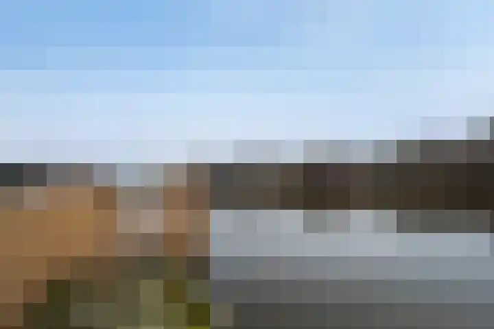 Wenpad 8 Poeldijk thumbnail 53