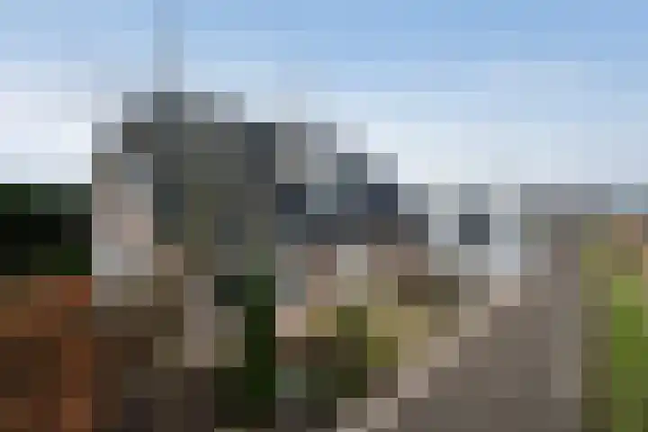 Wenpad 8 Poeldijk thumbnail 6