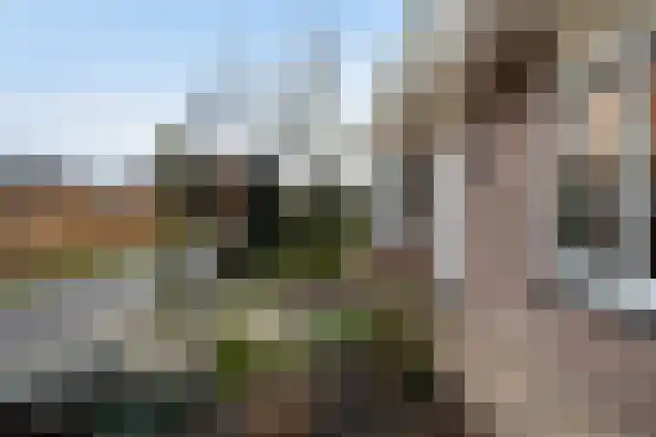 Wenpad 8 Poeldijk thumbnail 8