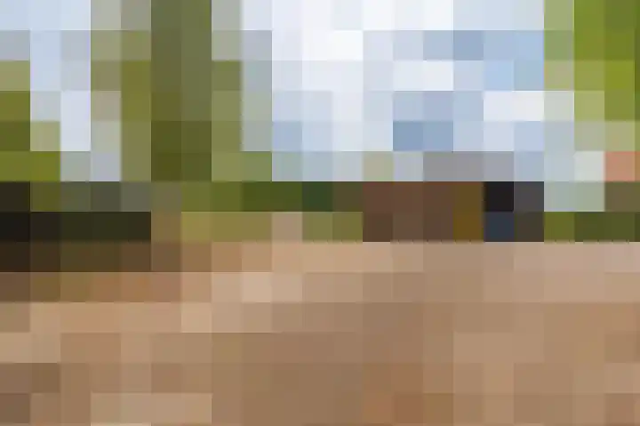 Wensenkampsweg 1 Vlagtwedde thumbnail 10