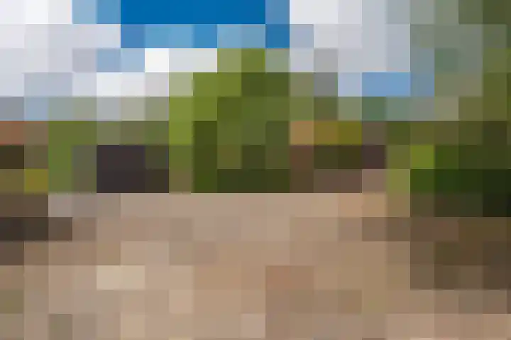 Wensenkampsweg 1 Vlagtwedde thumbnail 11