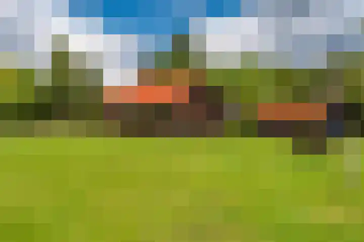 Wensenkampsweg 1 Vlagtwedde thumbnail 13