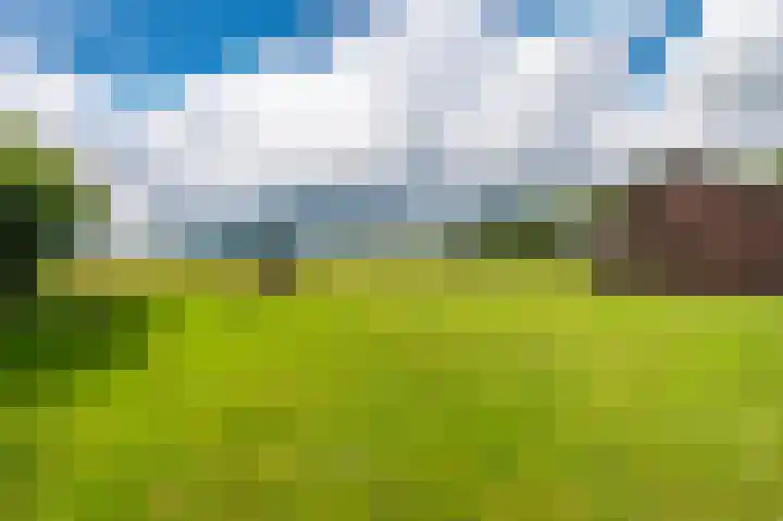 Wensenkampsweg 1 Vlagtwedde thumbnail 14