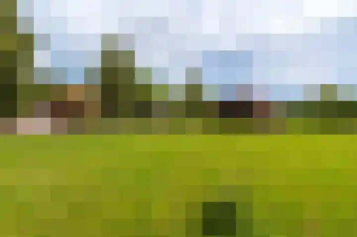 Wensenkampsweg 1 Vlagtwedde thumbnail 15