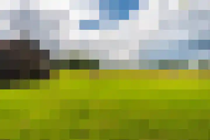 Wensenkampsweg 1 Vlagtwedde thumbnail 16
