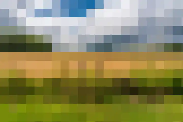 Wensenkampsweg 1 Vlagtwedde thumbnail 17