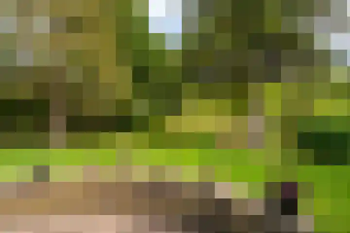 Wensenkampsweg 1 Vlagtwedde thumbnail 18