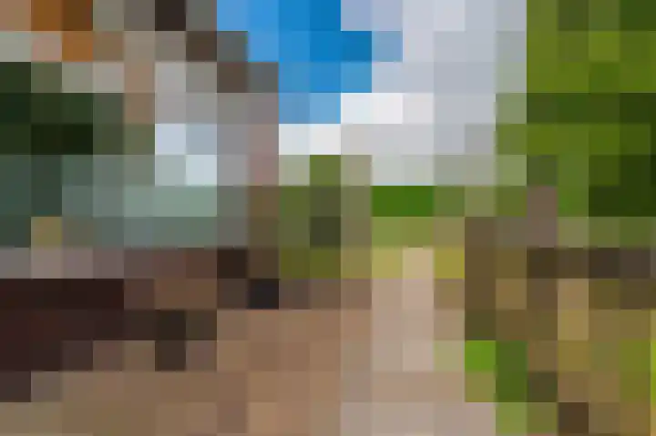 Wensenkampsweg 1 Vlagtwedde thumbnail 19