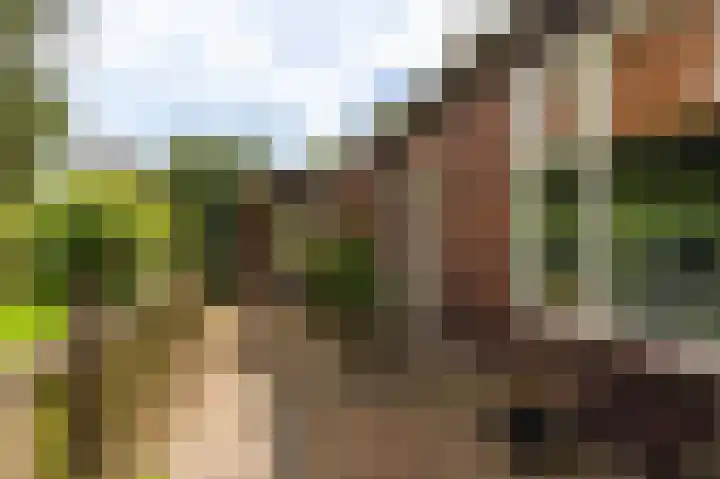Wensenkampsweg 1 Vlagtwedde thumbnail 20