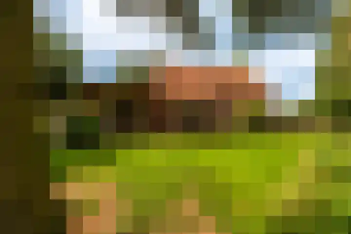 Wensenkampsweg 1 Vlagtwedde thumbnail 21