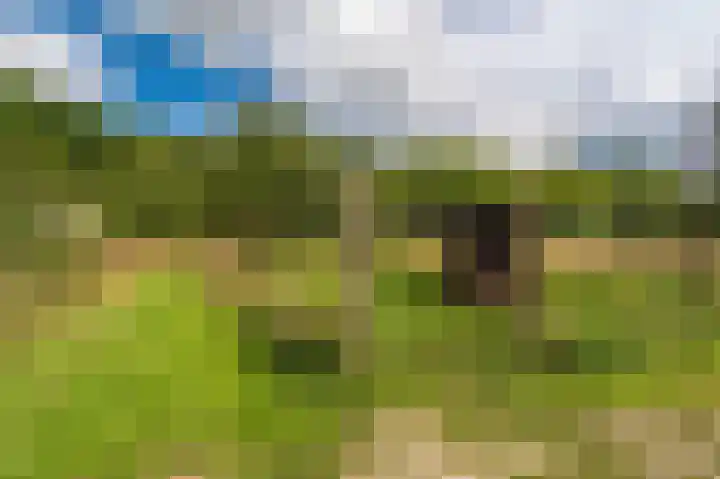 Wensenkampsweg 1 Vlagtwedde thumbnail 22