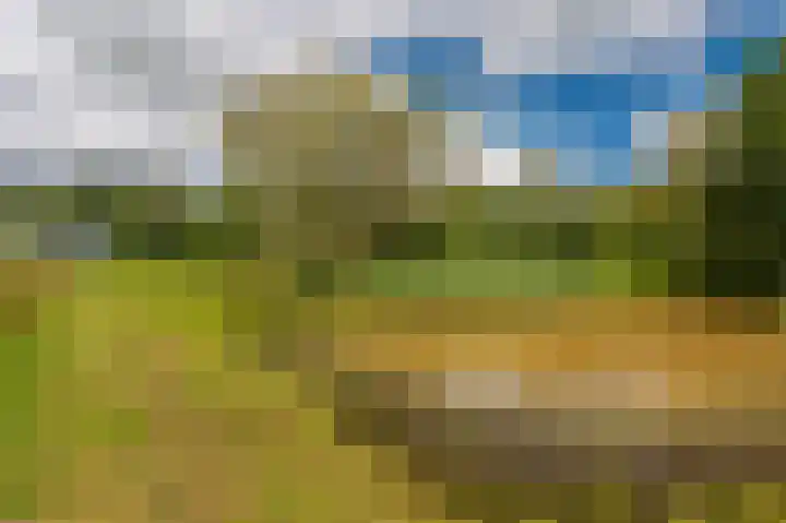 Wensenkampsweg 1 Vlagtwedde thumbnail 23