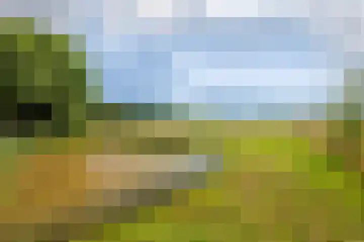 Wensenkampsweg 1 Vlagtwedde thumbnail 24